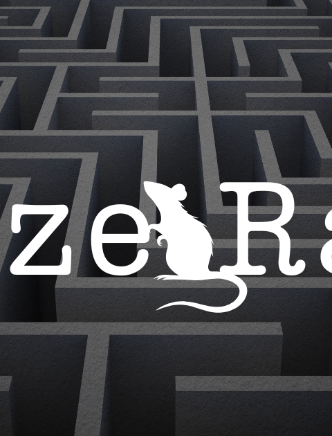 Maze Rats